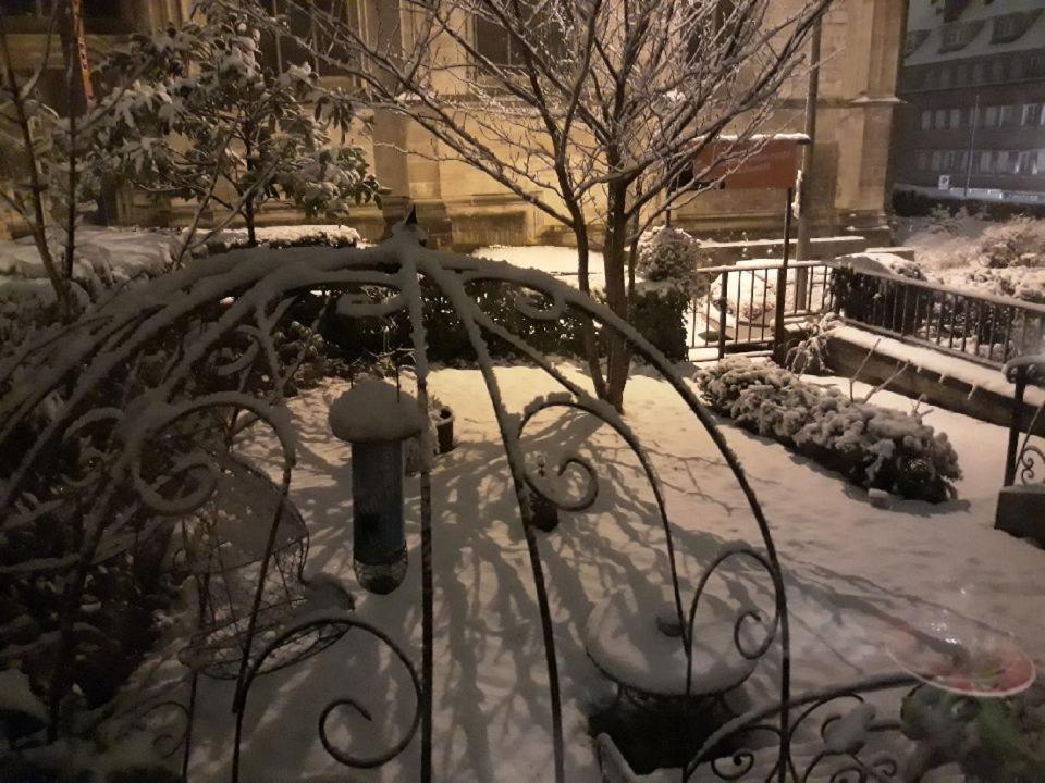Hotel Boutique Saint-Louis 利雪 外观 照片