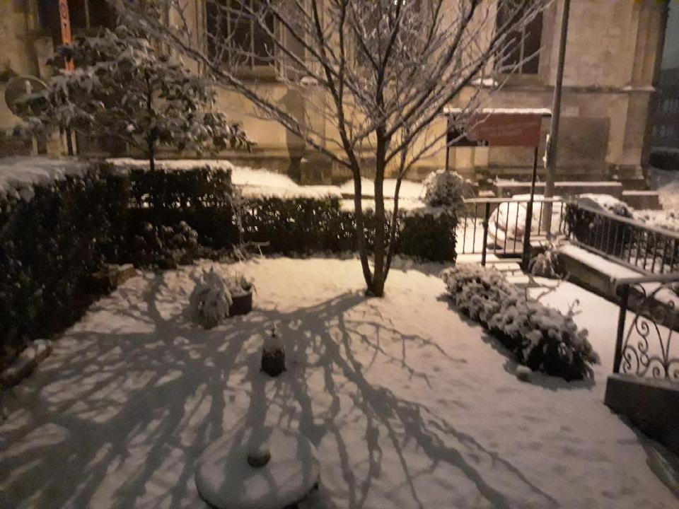 Hotel Boutique Saint-Louis 利雪 外观 照片